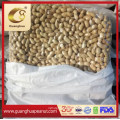 New Crop Roasted Peanut in Shell Exporting Quality From China